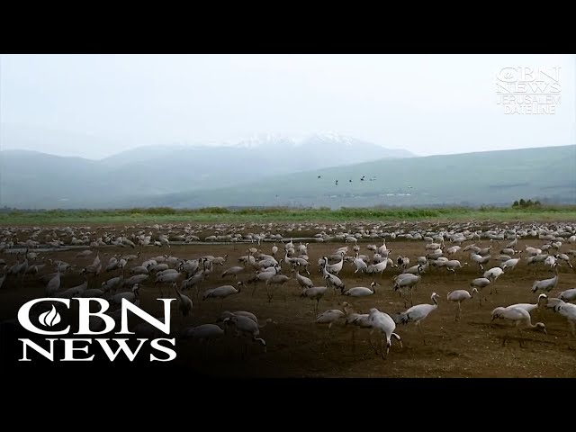 ⁣Northern Israelis Seek to Restore Nature Preserves after Hezbollah Rocket Destruction