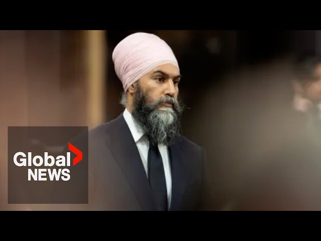 ⁣Singh says Canada must ‘shut off’ critical minerals to US to counter Trump | FULL