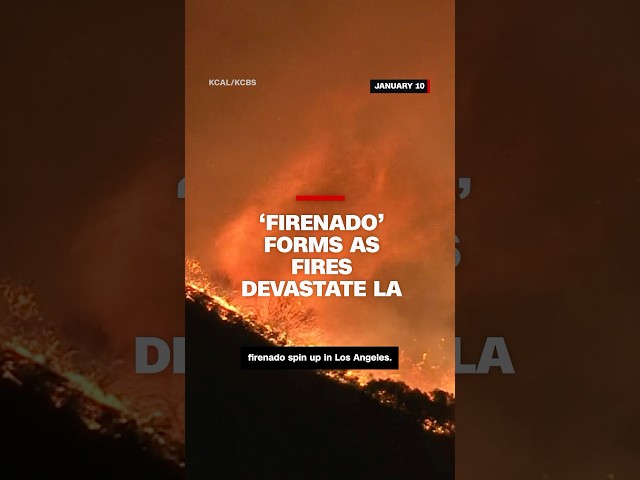 ⁣Watch 'firenado' spin up as LA wildfires continue to rage