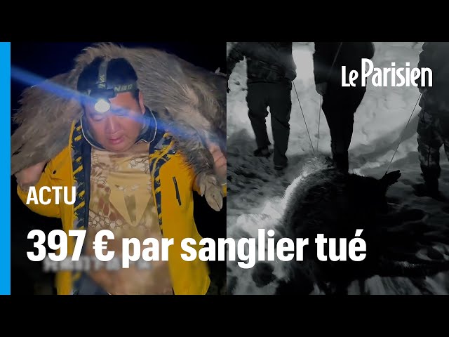 ⁣Ces chasseurs de prime de sangliers sont devenus des stars des réseaux sociaux en Chine