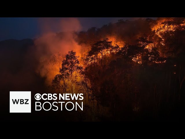 ⁣Dozens of people arrested for looting during California fires