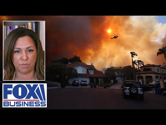 ⁣Insurance industry expert warns of ripple effect from California wildfires