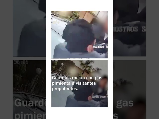 ⁣Guardias de seguridad rocían con gas pimienta a visitantes prepotentes - N+ #shorts