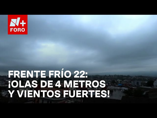 ⁣Frente frío número 22 provoca olas de hasta cuatro metros en Veracruz - Las Noticias