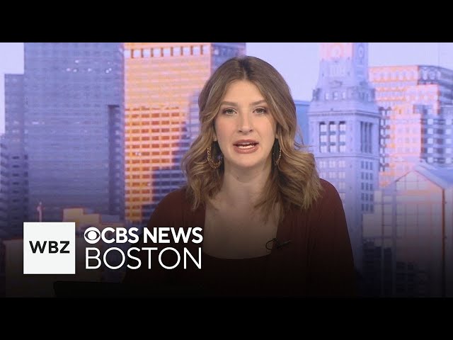 ⁣CBS News Boston Newscast