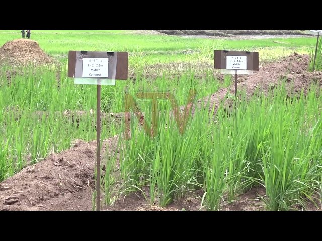 ⁣Africa faces soil health crisis, threatening food security