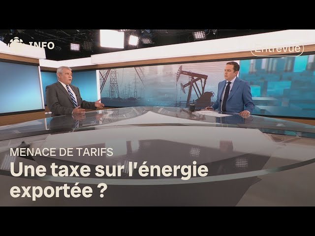 ⁣Faut-il utiliser l'arme énergétique pour répliquer aux tarifs américains? | Zone économie