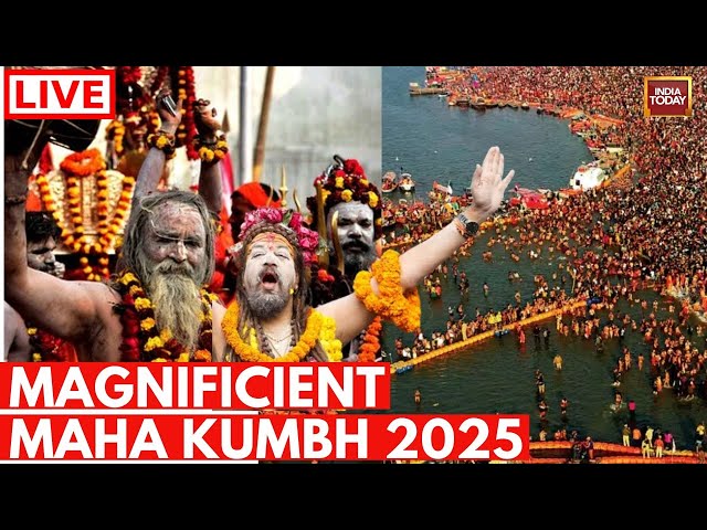 ⁣Prayagraj Mahakumbh 2025 LIVE Updates: Shahi Snan Mahakumbh | Prayagraj Kumbh Amrit Snan |Kumbh Mela