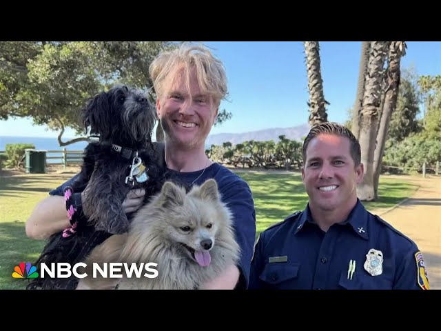 ⁣Joyful reunion of man and dog separated in fire