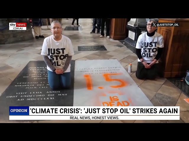 ⁣Just Stop Oil protesters are ‘living proof’ evolution ‘peaked’ a decade ago: Chris Kenny