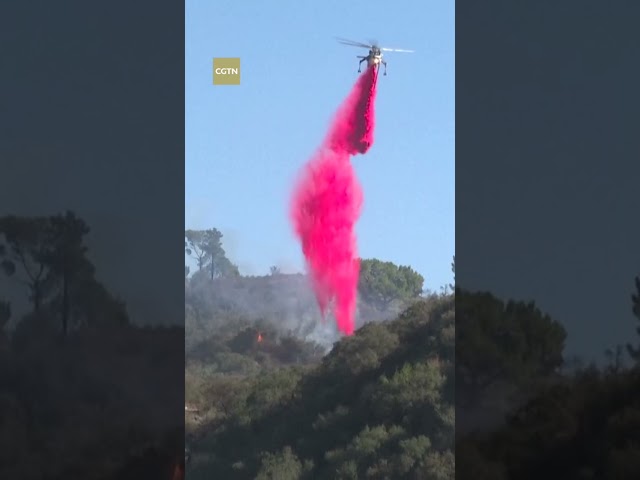 ⁣Firefighters continue to battle wildfires amid strong winds