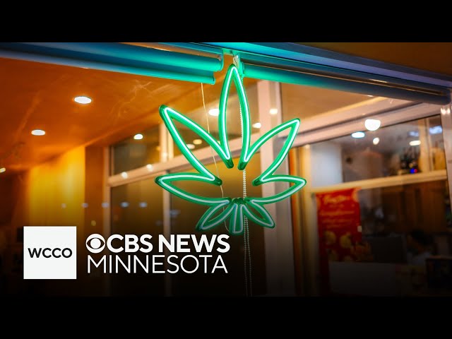 ⁣When can recreational cannabis businesses open in Minnesota?