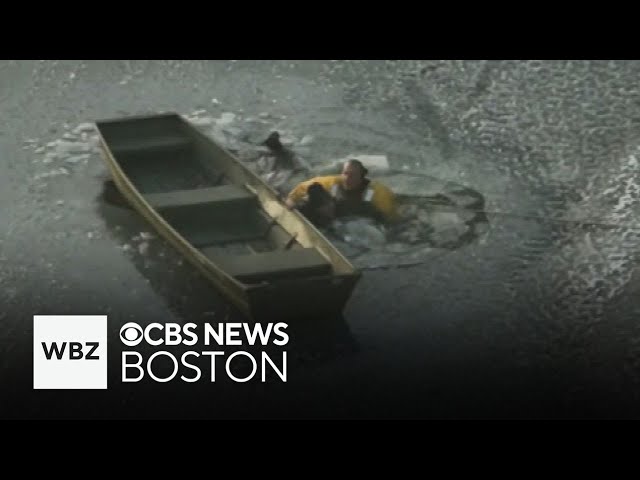 ⁣Man and dog rescued from frozen Wellesley lake