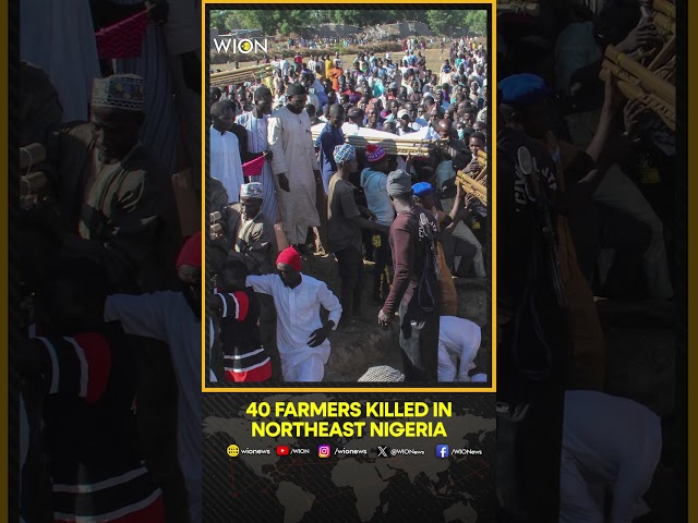 ⁣40 Farmers Killed By Boko Haram Militants In Nigeria | WION Shorts