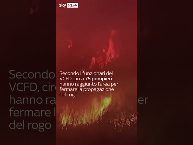 ⁣Incendi in California, nuovi roghi nella contea di Ventura