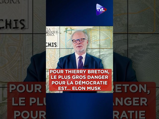 ⁣« Pour Thierry Breton, le plus grand danger pour la démocratie en 2025, c'est Elon #Musk »