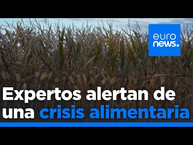 ⁣Más de 150 premios Nobel y World Food Prize piden un esfuerzo para evitar una crisis alimentaria