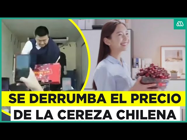 ⁣Preocupación entre los exportadores: Precio de las cerezas chilenas se derrumba en China