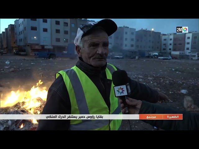 ⁣بقايا رؤوس حمير يستنفر الدرك الملكي