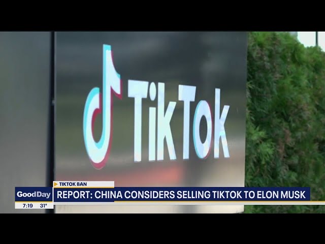 ⁣China considers selling TikTok to Elon Musk