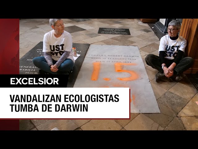 ⁣Activistas vandalizan la tumba de Charles Darwin en Londres