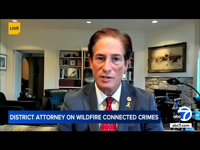 ⁣LA DA vows to go after looters, defrauders and scammers amid wildfires: 'You will be punished&#