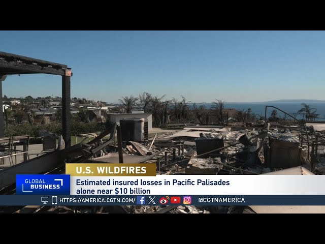 ⁣Global Business:  Wildfires Worsen California's Home Insurance Crisis