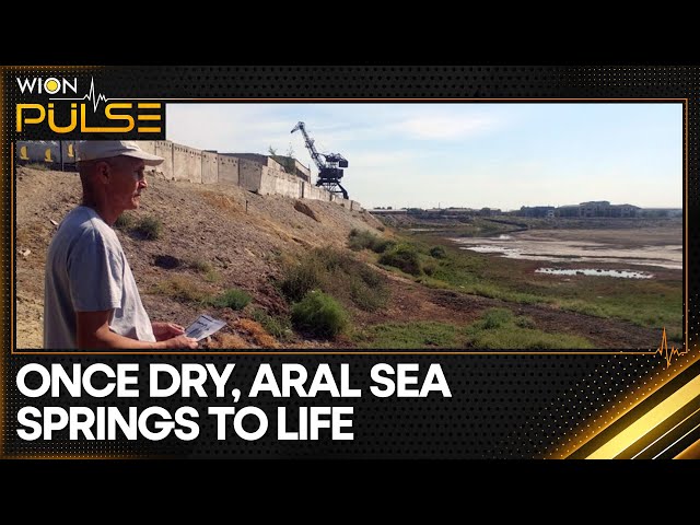 ⁣Ball-shaped Debris Washes Ashore, 9 Beaches Shut | WION