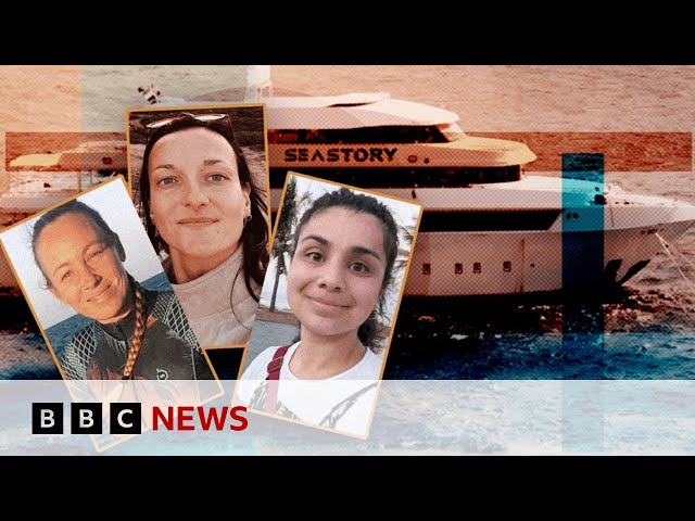 ⁣Red Sea dive-boat survivors tell of terrifying escape and being trapped for hours | BBC News