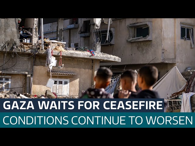 ⁣Gaza civilians await ceasefire deal: Humanitarian situation described as 'catastrophic' | 