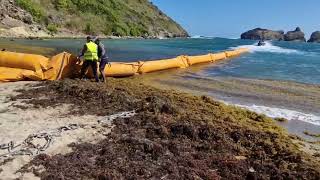 ⁣barrages sargasses Terre de Haut