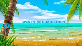 ⁣Résultats des Parades Lundi et Mardi Gras 2025 de Guadeloupe