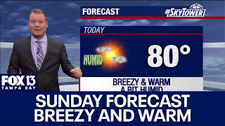 ⁣Tampa weather | Warm temps and sunny