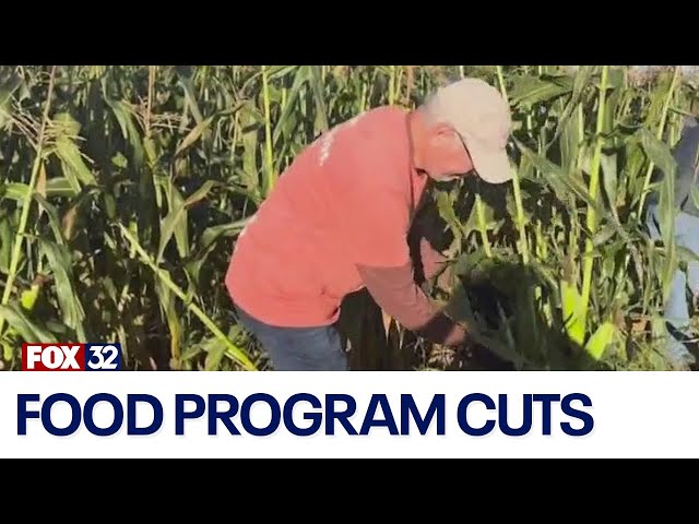 ⁣How Trump admin cuts affect Illinois farmers, food banks