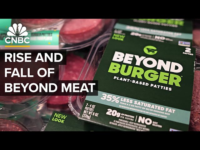 ⁣Why Beyond Meat and the plant-based meat industry couldn't live up to the hype