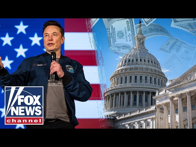 ⁣Democrats want to shut down government to stop Musk, GOP lawmaker says