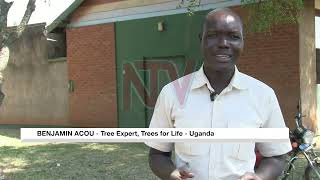 ⁣Ngora School for the Deaf learners plant trees to combat climate change