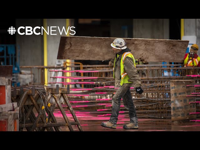 ⁣Builder pushes for mass timber homes as B.C. lumber industry faces tariff pain