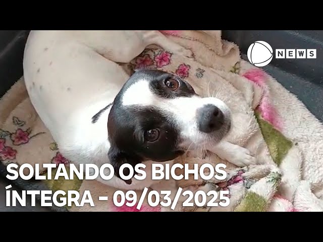 ⁣Soltando os Bichos - 09/03/2025