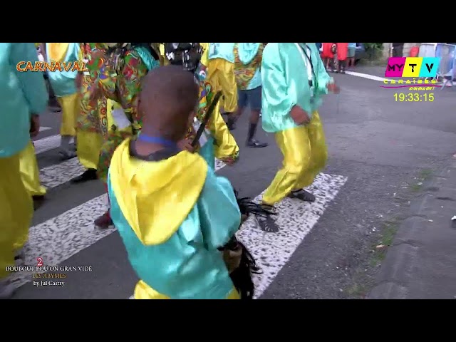 ⁣Résumé carnaval des Abymes en guadeloupe