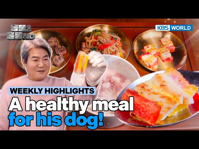 ⁣[Weekly Highlights] Jinsung's petcipe for his dog [Animals Are Incredible] | KBS WORLD TV 25030