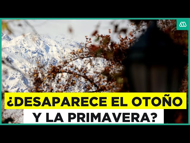 ⁣¿Desaparece el otoño y la primavera? Otro de los efectos del cambio climático en Chile