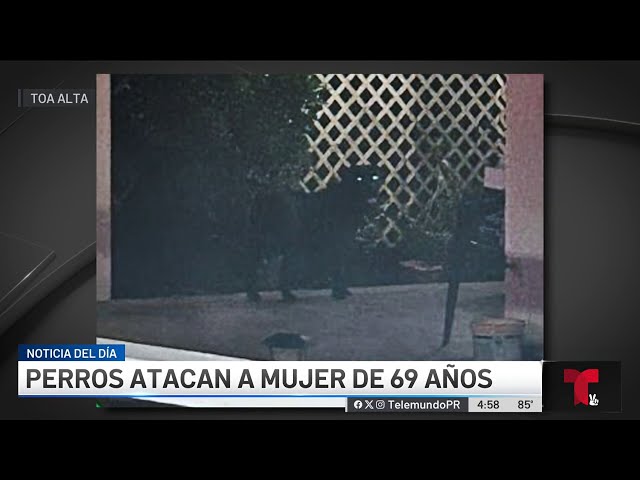 ⁣Perros de un vecino atacan a sexagenaria en su propia casa en Toa Alta