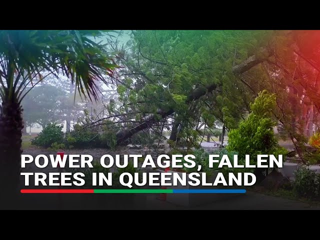 ⁣Residents grapple with power outages, fallen trees after storm lashes southeast Queensland