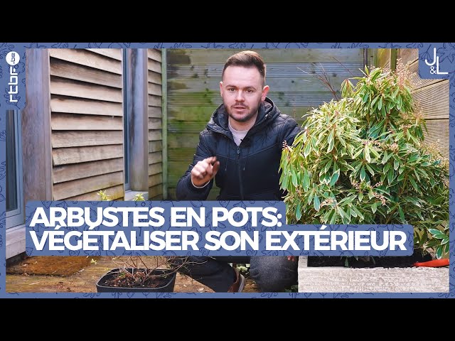 ⁣Arbustes en pot : comment végétaliser son espace extérieur ? | Jardins et Loisirs