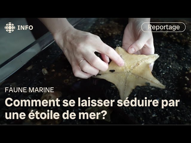 ⁣Un aquarium pour mettre en valeur les espèces locales | Découverte