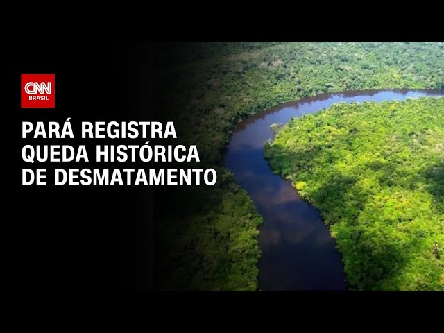 ⁣Desmatamento no Pará tem queda histórica de 72% | AGORA CNN