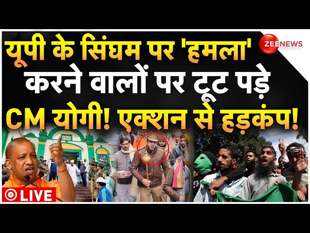 ⁣CM Yogi Massive Action On Sambhal Muslims LIVE: यूपी के सिंघम पर हमला करने वालों पर टूट पड़े CM योगी!