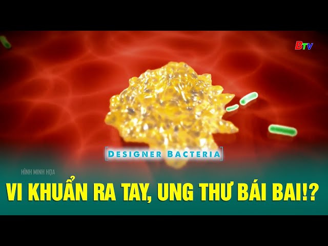 ⁣Vi khuẩn ra tay, ung thư bái bai!? | BTV - TRUYỀN HÌNH BÌNH DƯƠNG