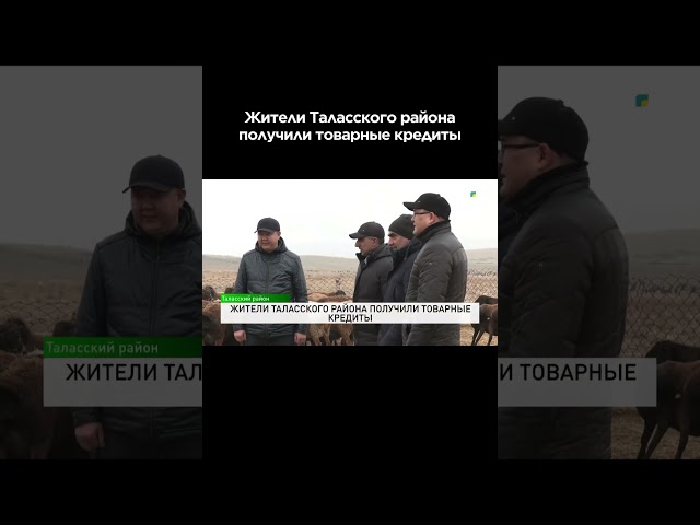 ⁣Жители Таласского района получили товарные кредиты #shortvideo #shorts #jambyltv #новости #жаңалық